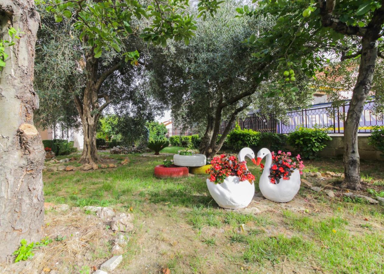 Apartman Luma * Zadar